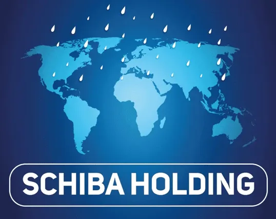 Logo Groupe Schiba.